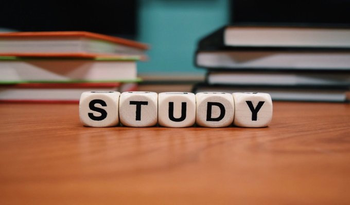Student reading